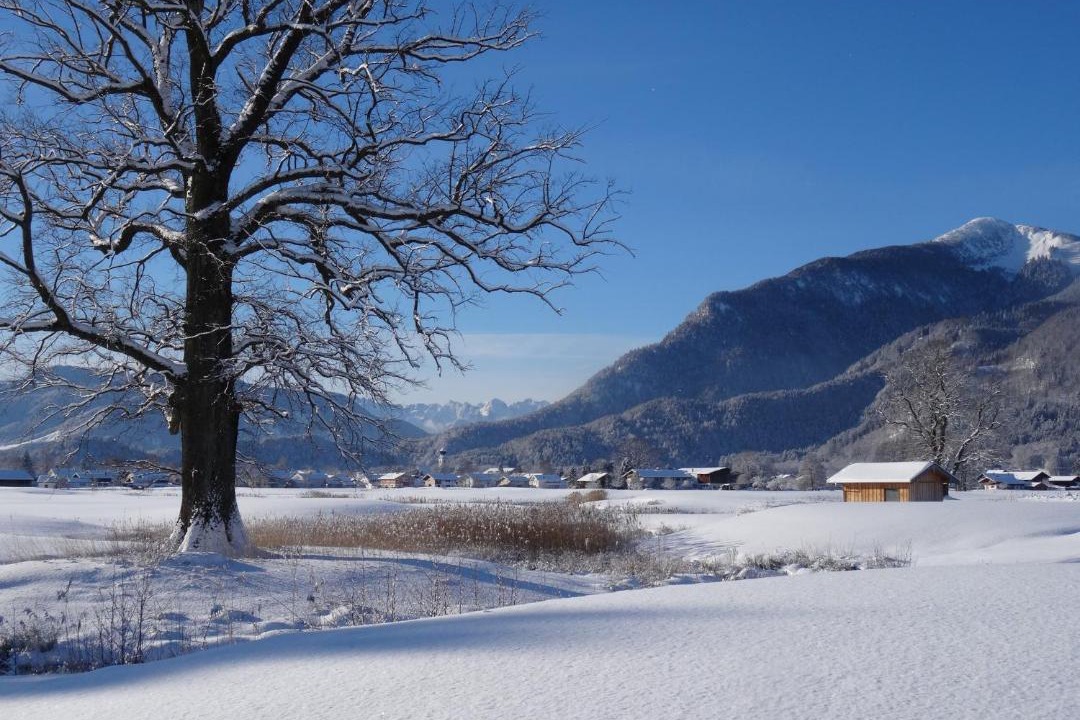 Photo of Others in Grassau