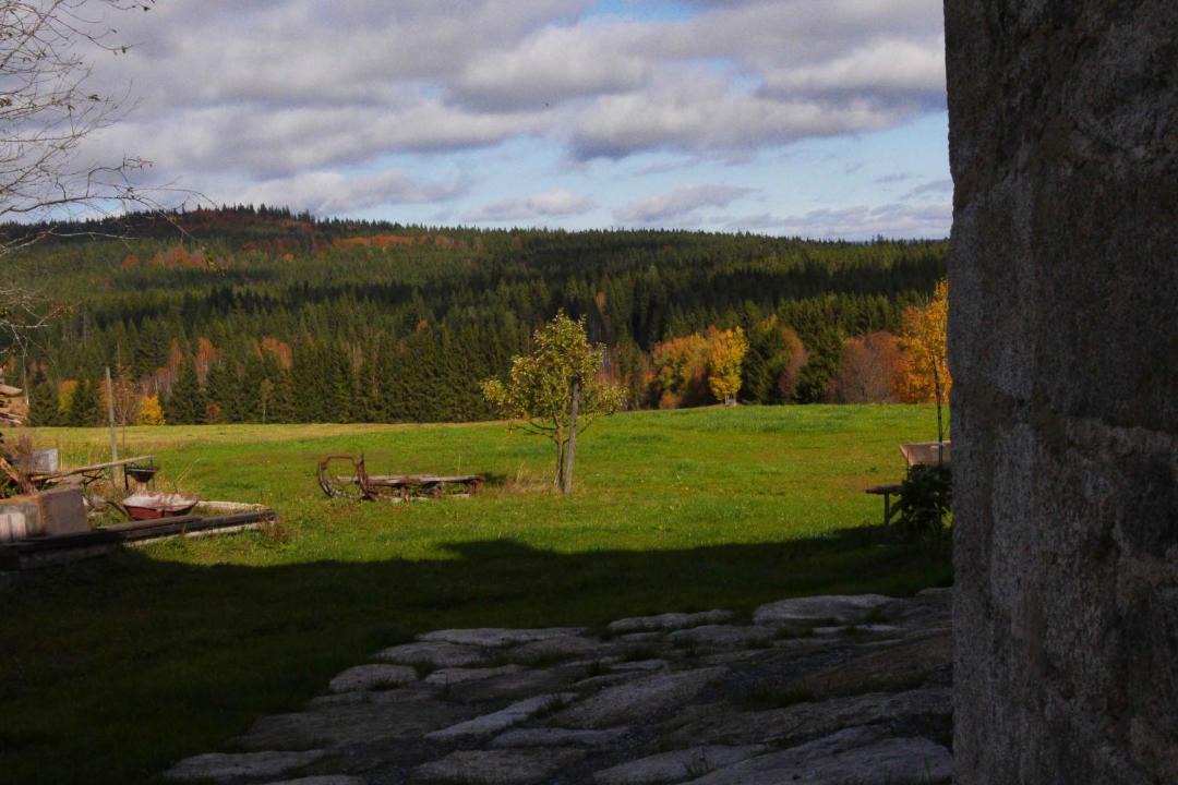 Photo of Others in Haidmuhle