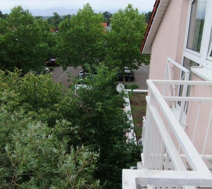 Photo of Others in Nilkheim
