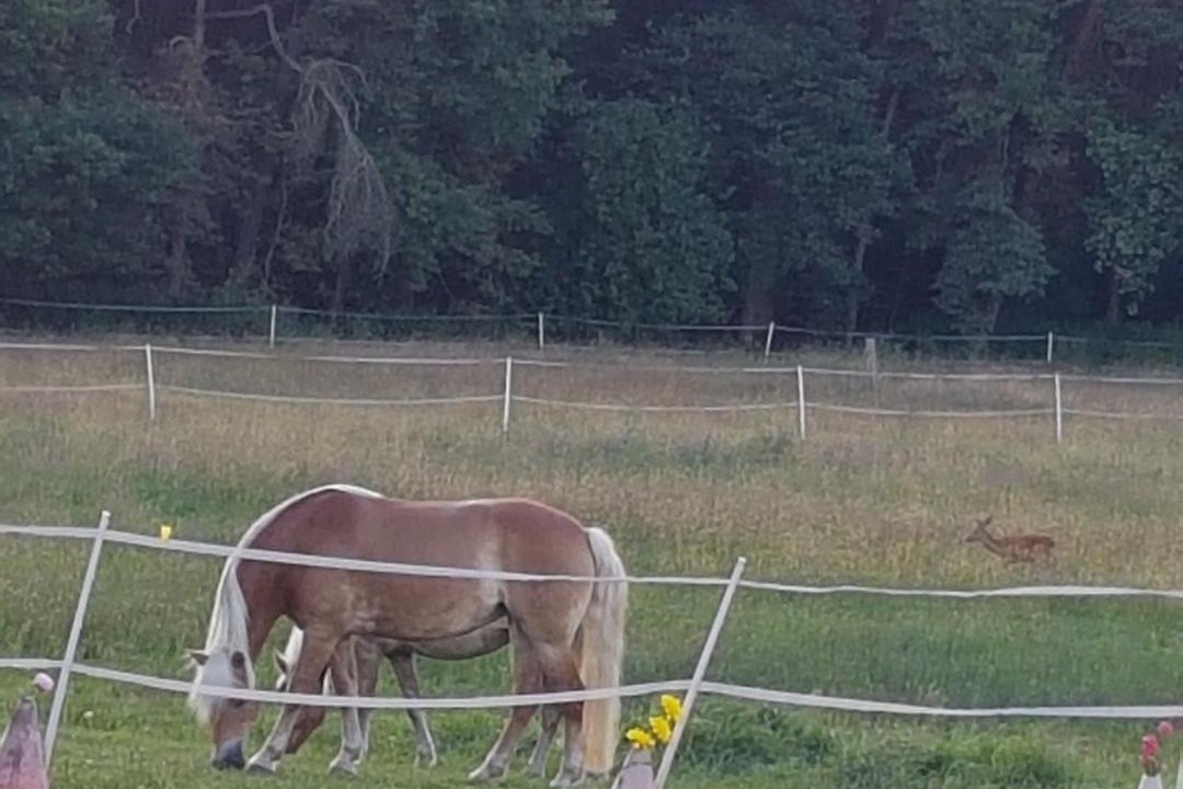 Photo of Others in Hessdorf