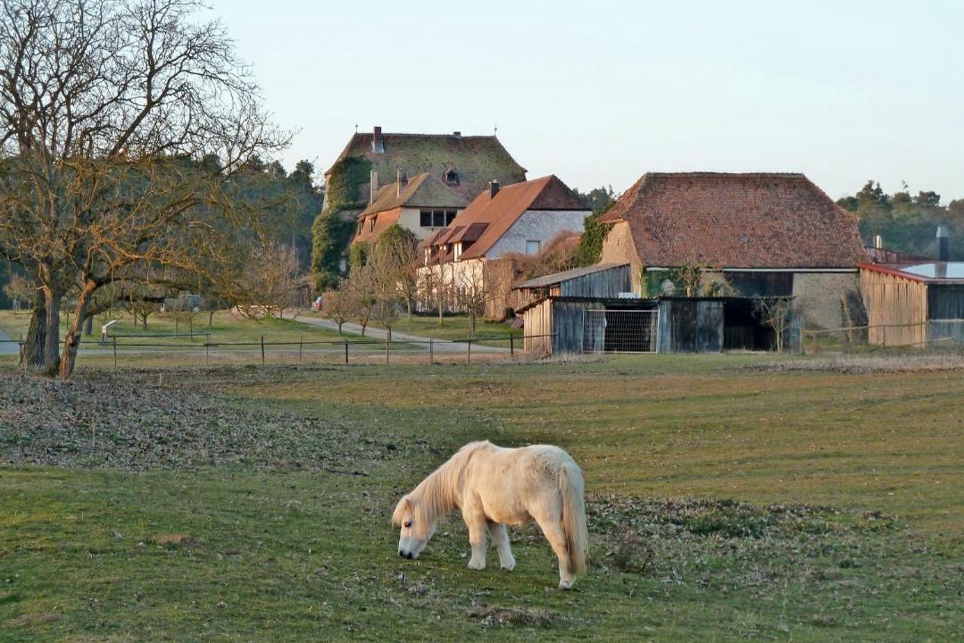 Photo of Others in Volkach
