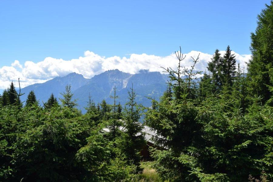 Photo of Others in Lienz