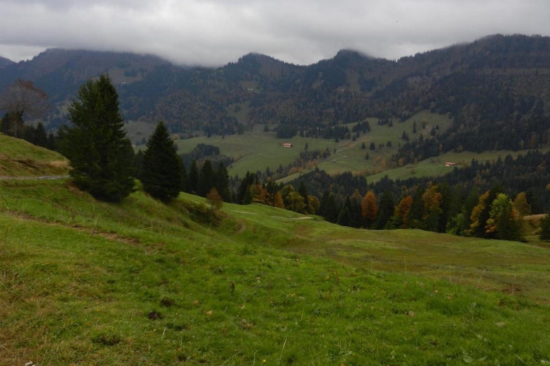 Photo of Outdoor in Steibis