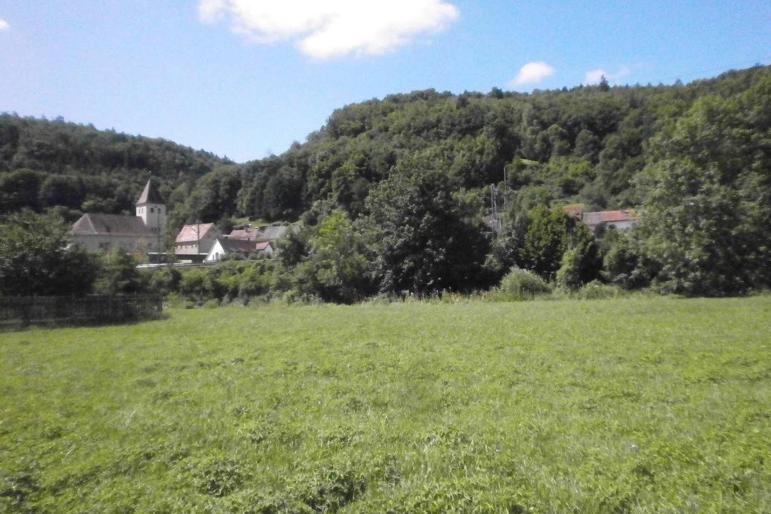 Photo of Others in Solnhofen