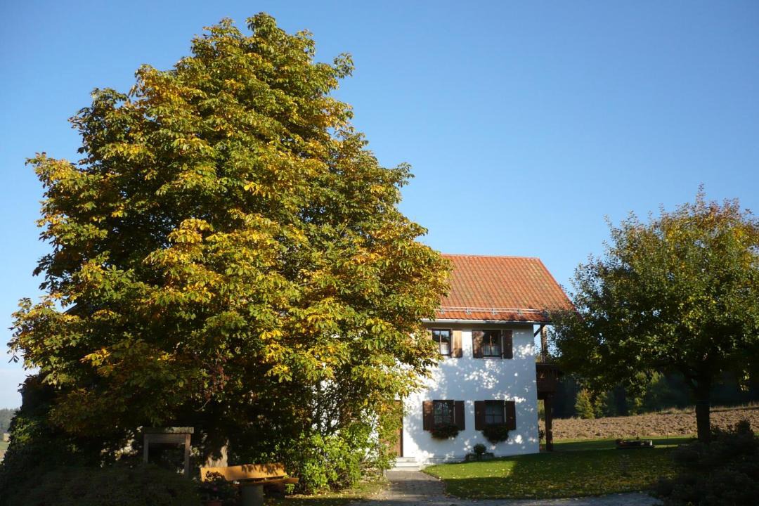 Photo of Buildings in Tiefenbach