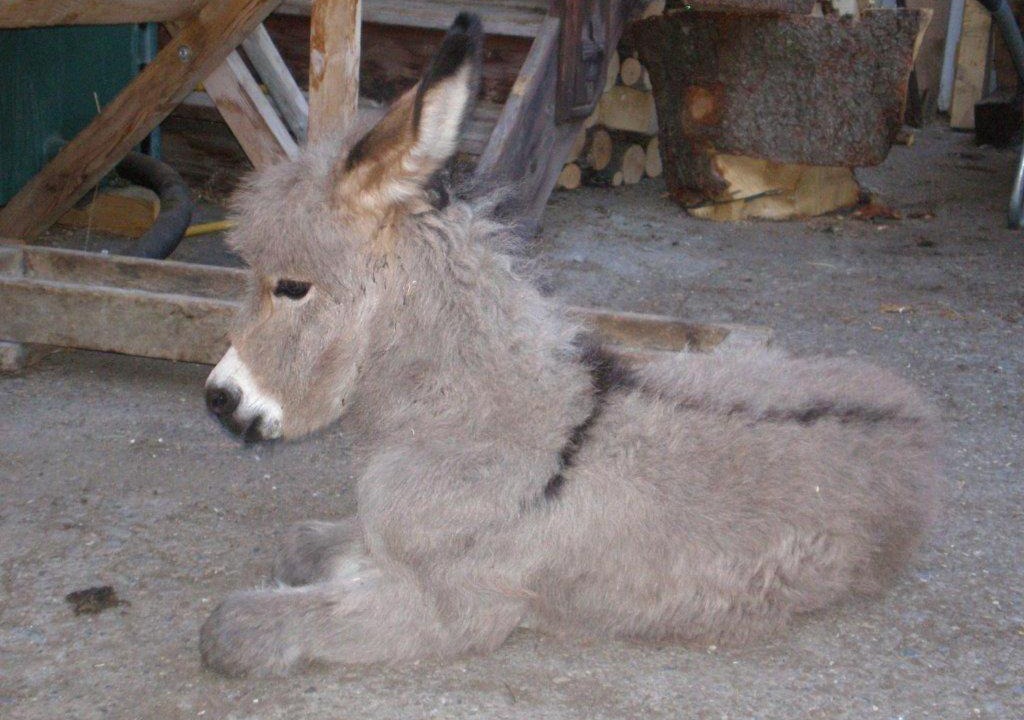 Photo of Others in Laehn