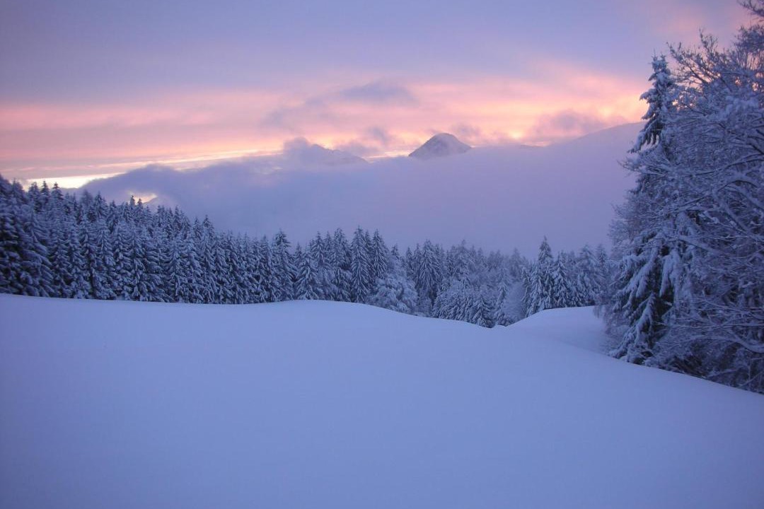 Photo of Others in Wiesing