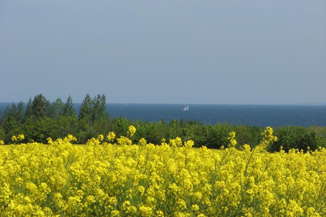 Photo of Outdoor in Dorf Mecklenburg