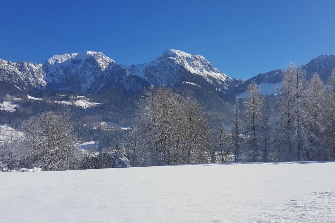 Photo of Others in Schoenau am Koenigssee