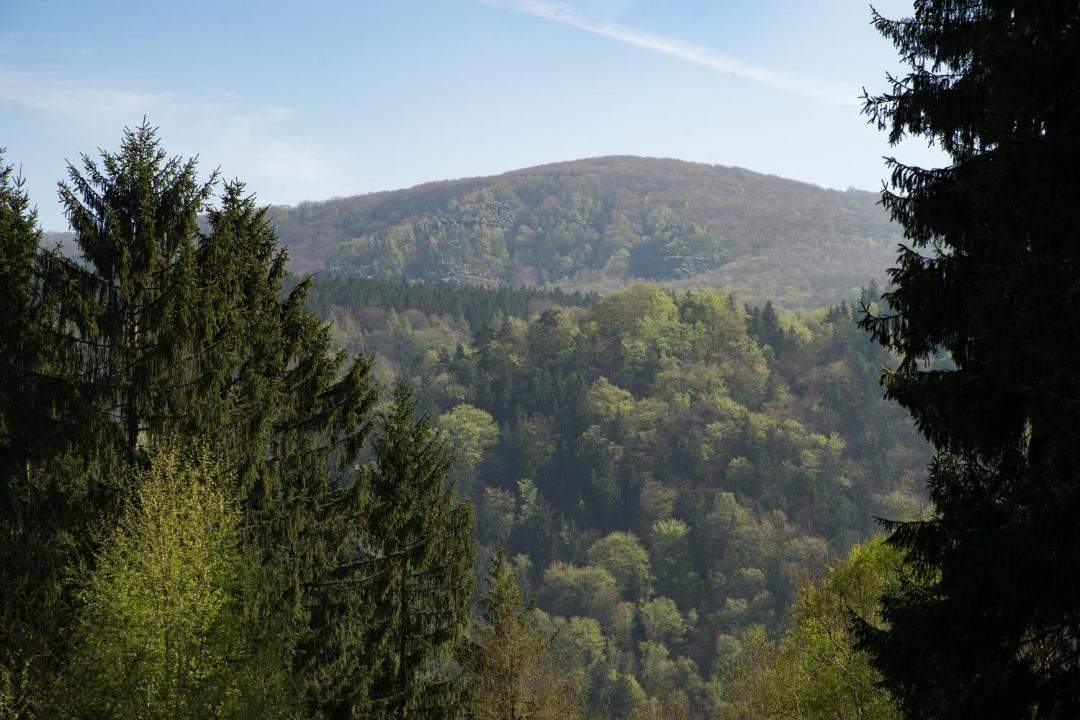 Photo of Others in Reinhardtsdorf-Schoena