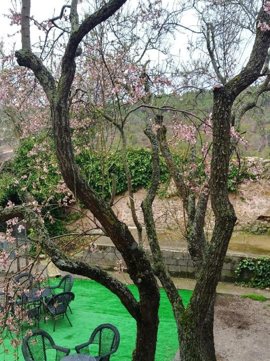 Photo of Others in Siguenza