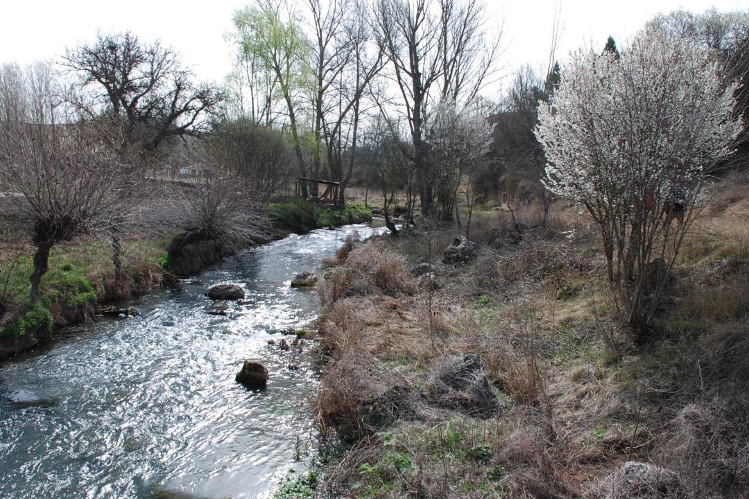 Photo of Others in Molina de Aragon