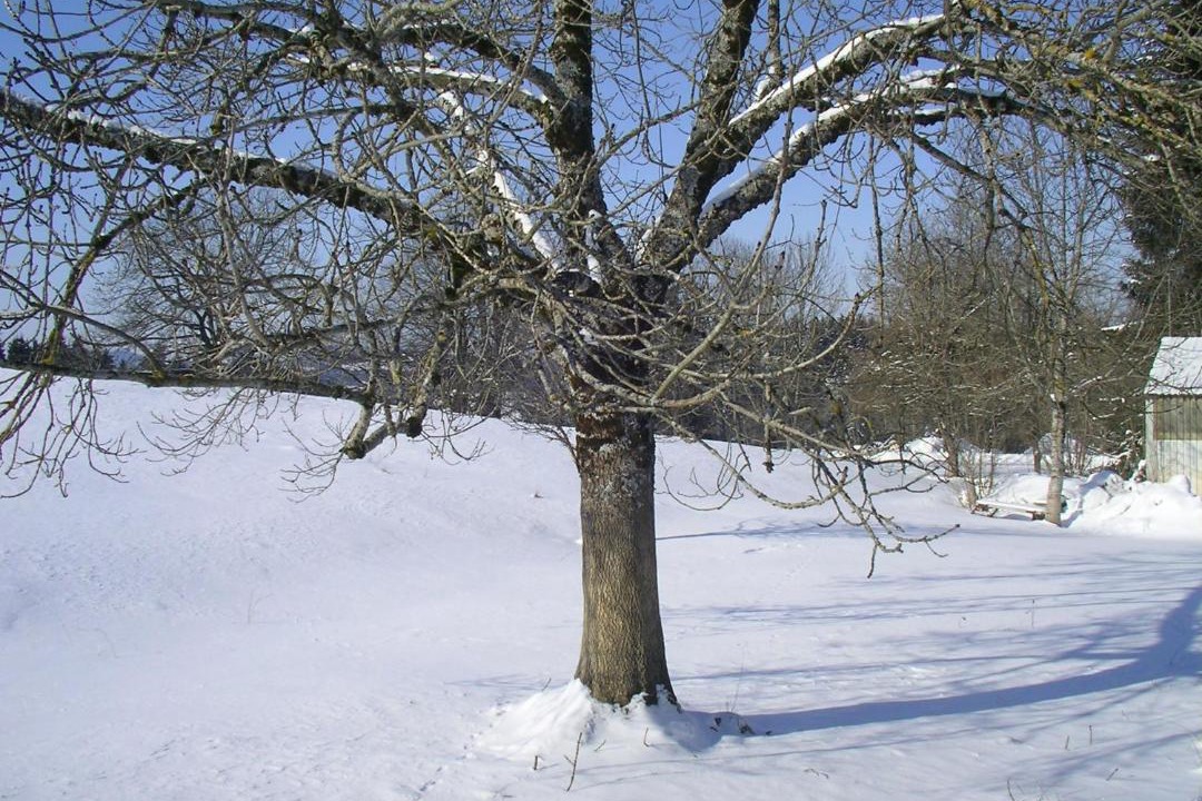 Photo of Others in Stockach