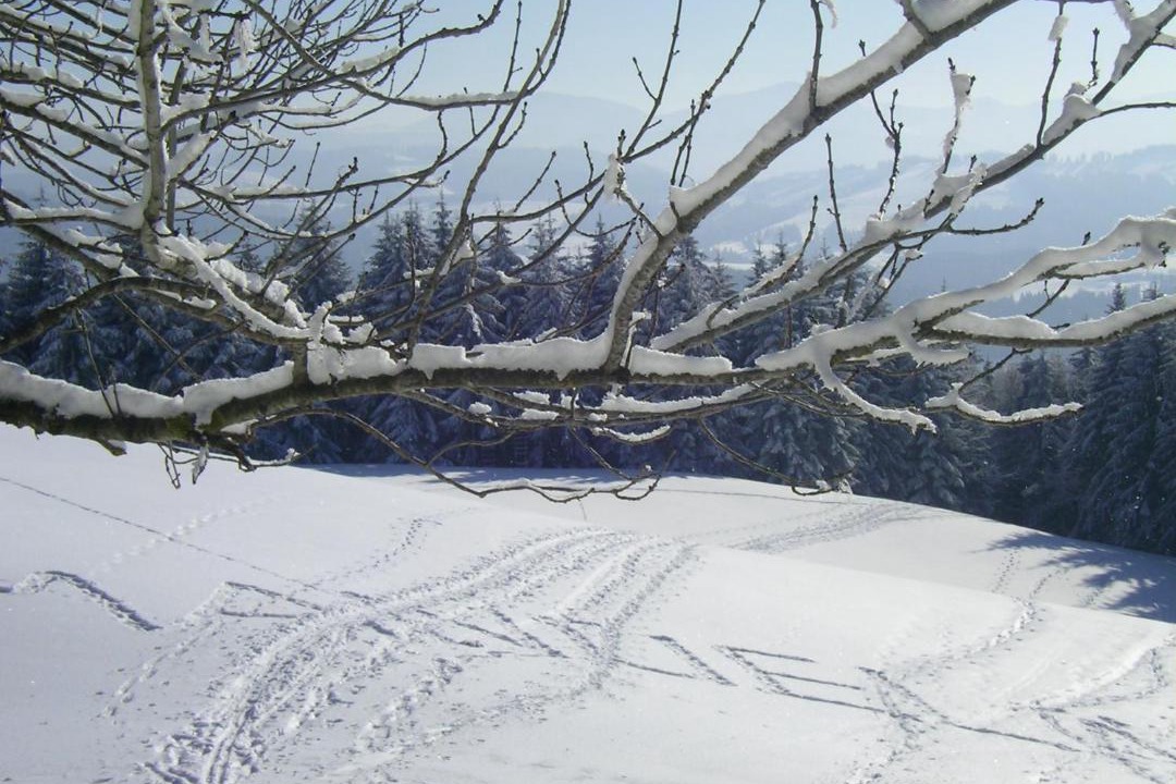 Photo of Others in Stockach