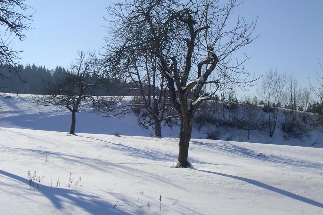Photo of Others in Stockach