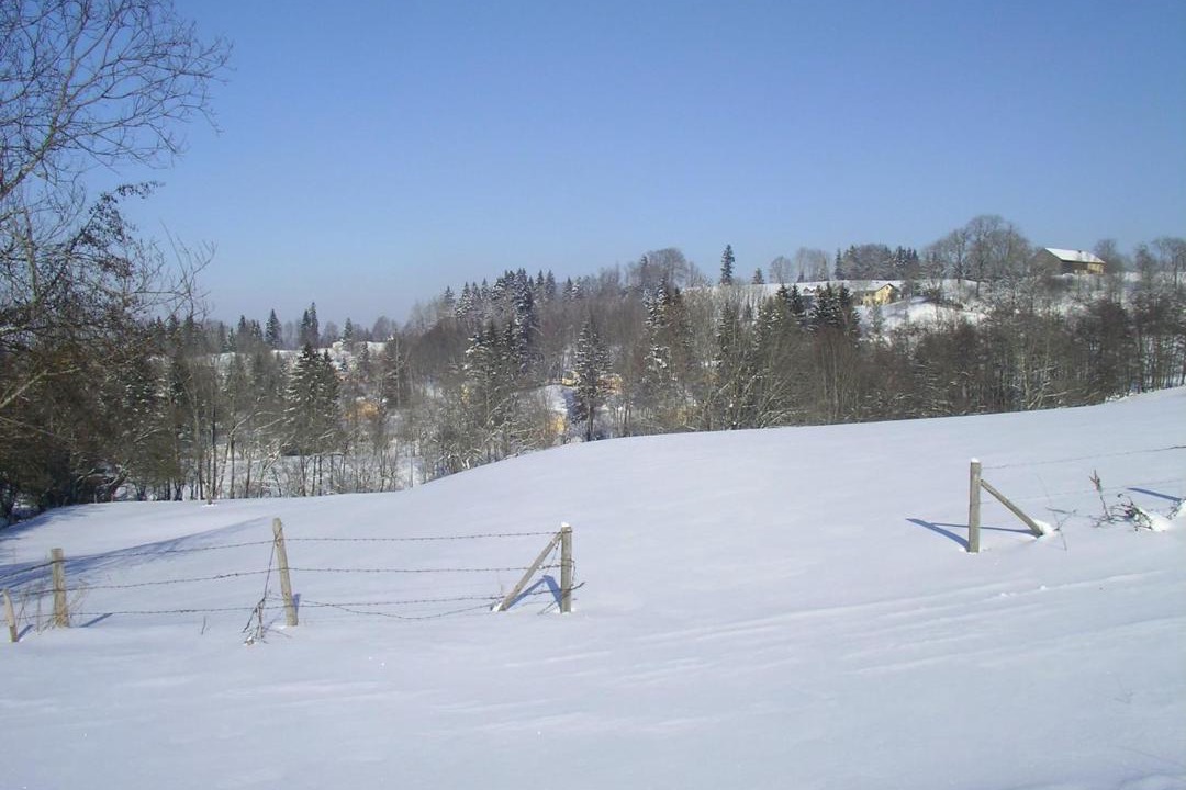 Photo of Others in Stockach