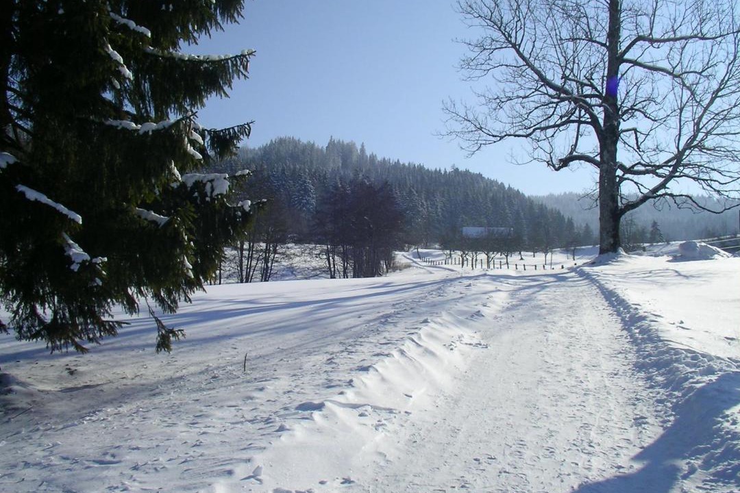 Photo of Others in Stockach