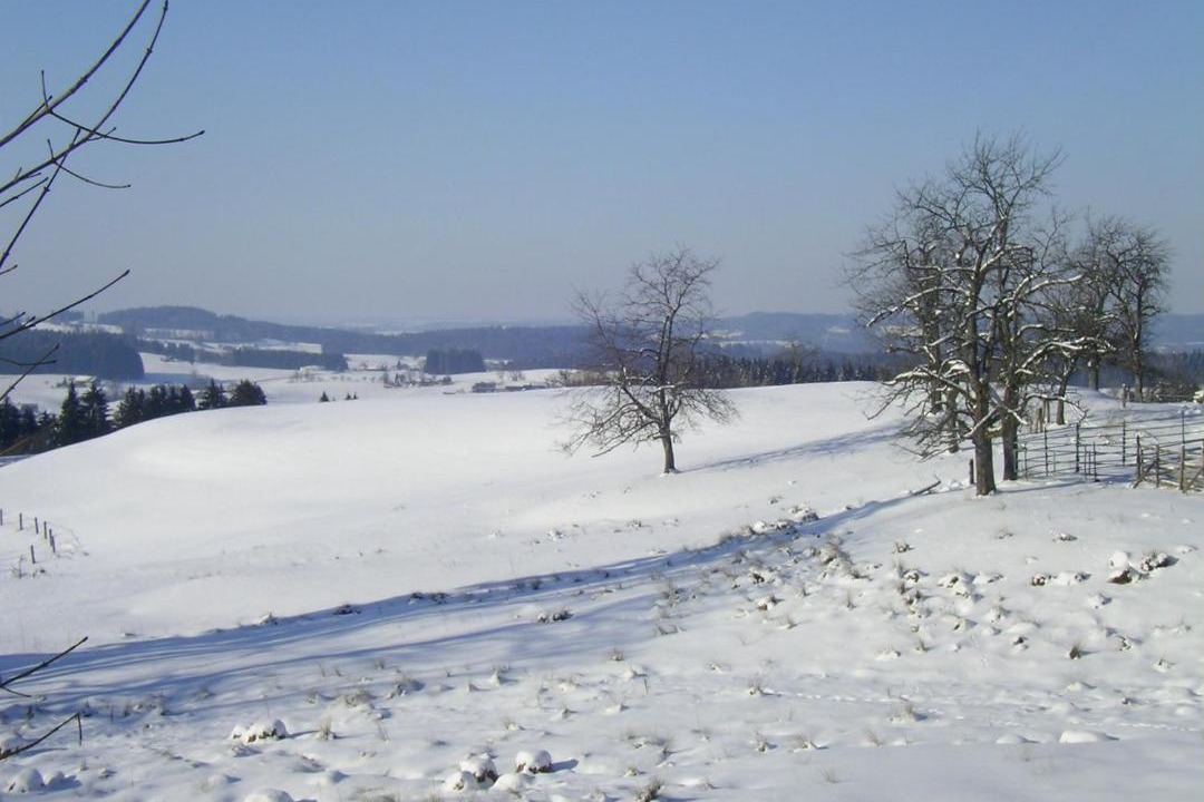 Photo of Others in Stockach