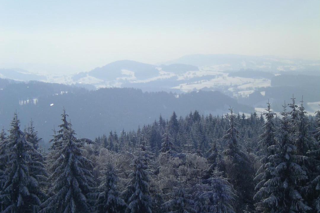 Photo of Others in Stockach