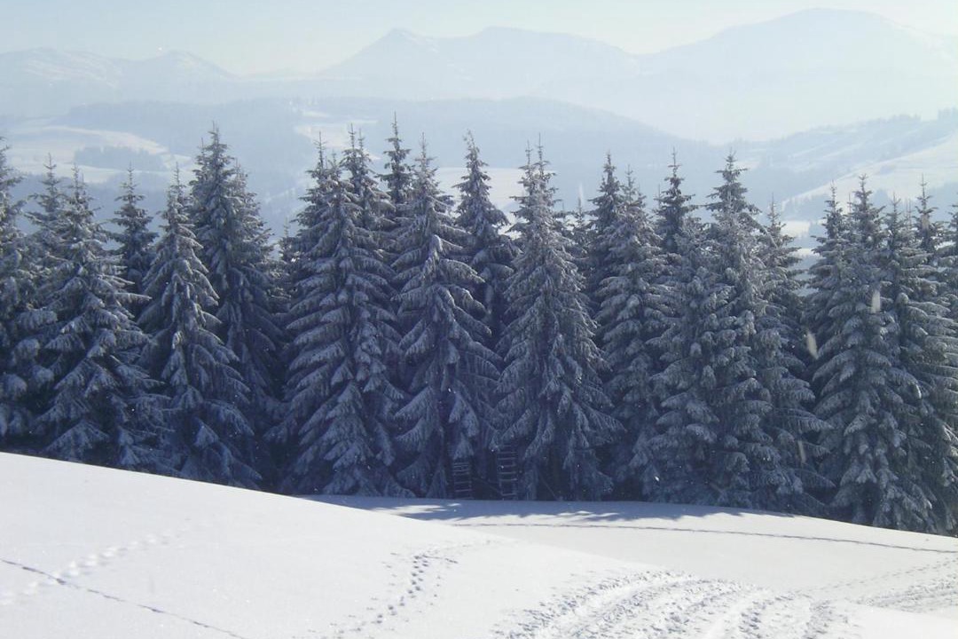 Photo of Others in Stockach