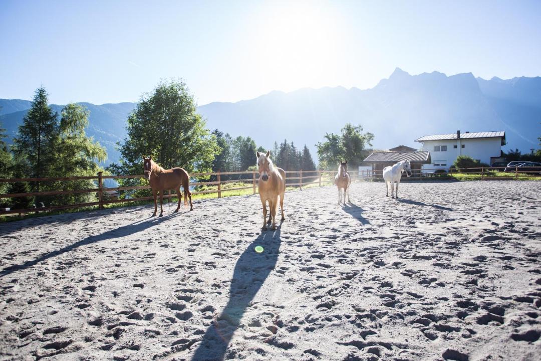 Photo of Others in Sautens