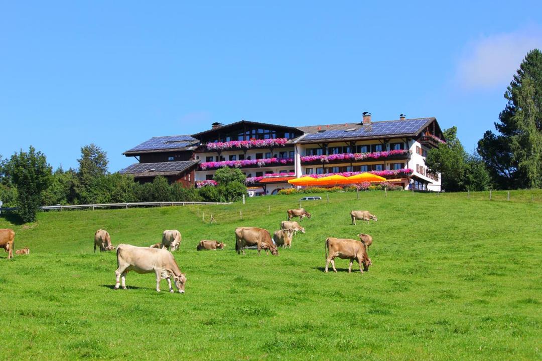 Photo of Others in Dietringen