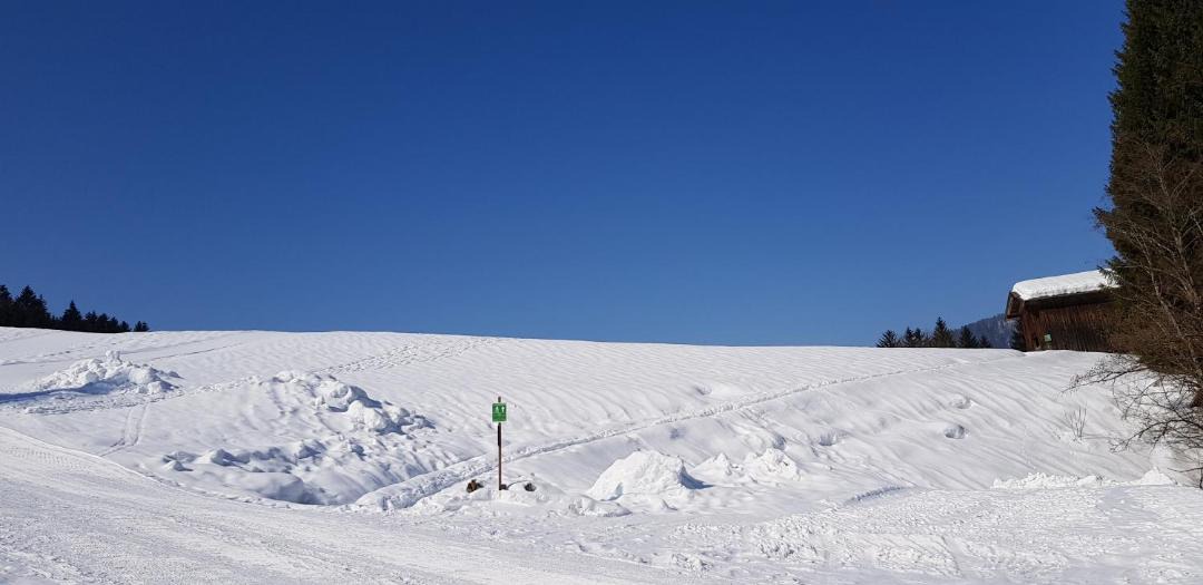Photo of Outdoor in Groissenbach