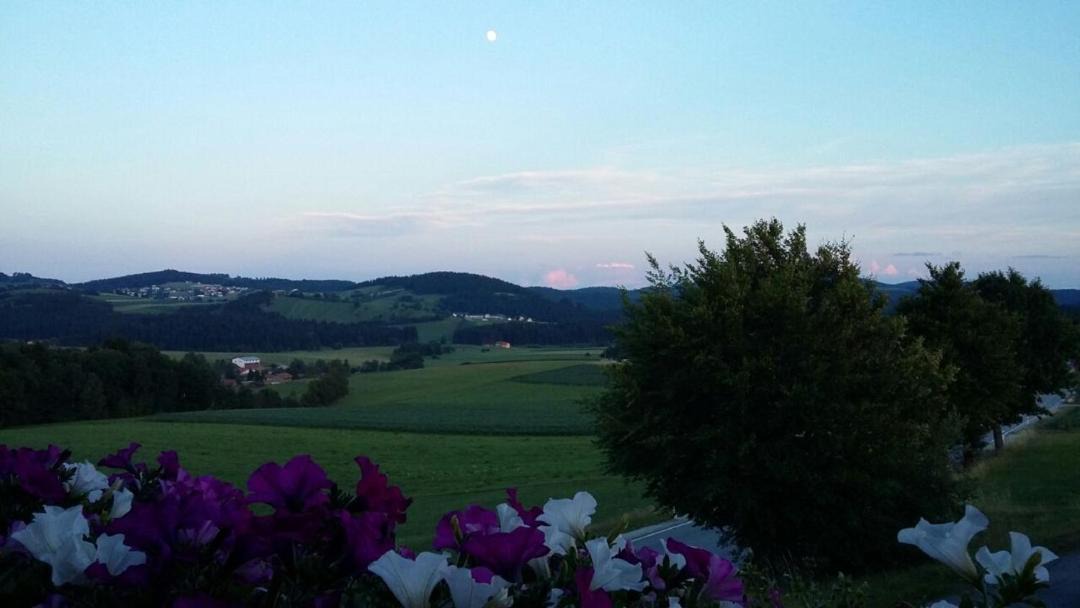 Photo of Others in Wegscheid