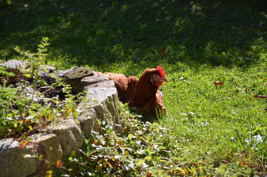 Photo of Others in Schoenau am Koenigssee