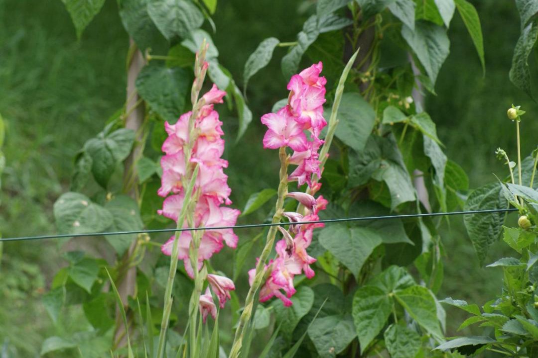 Photo of Outdoor in Imst