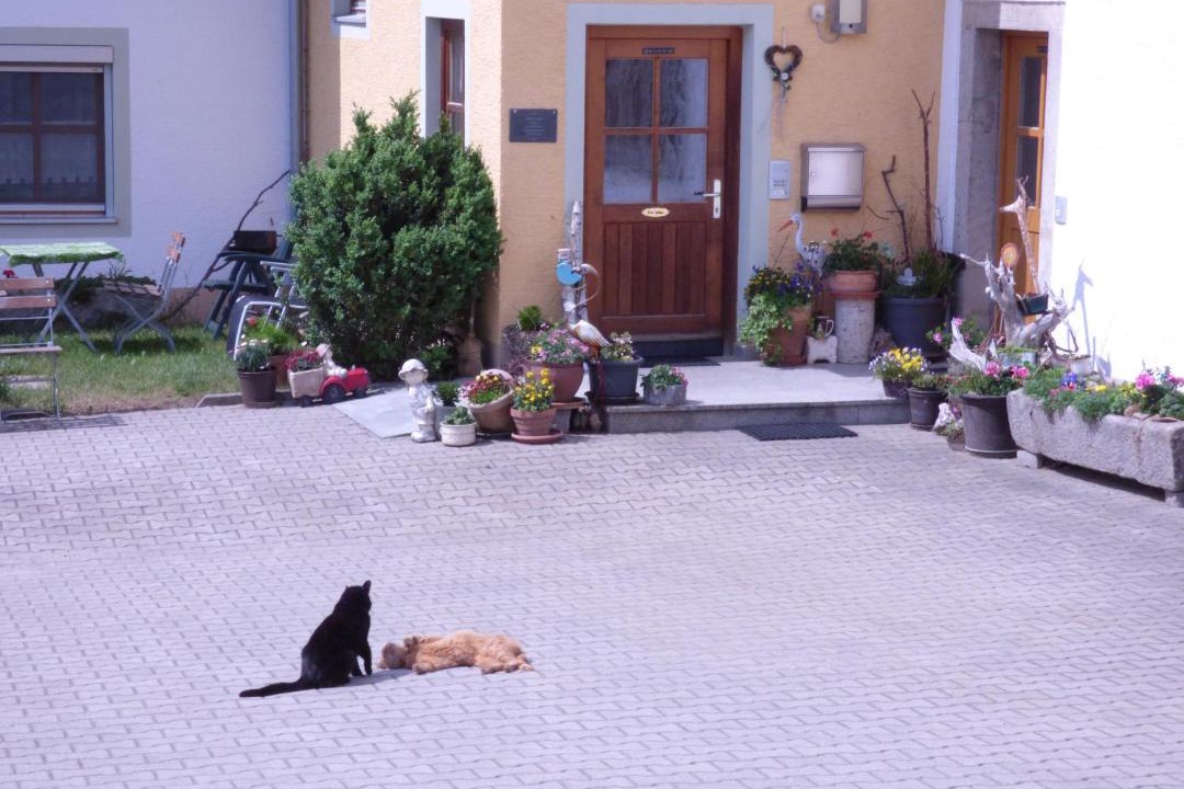 Photo of Others in Chamerau