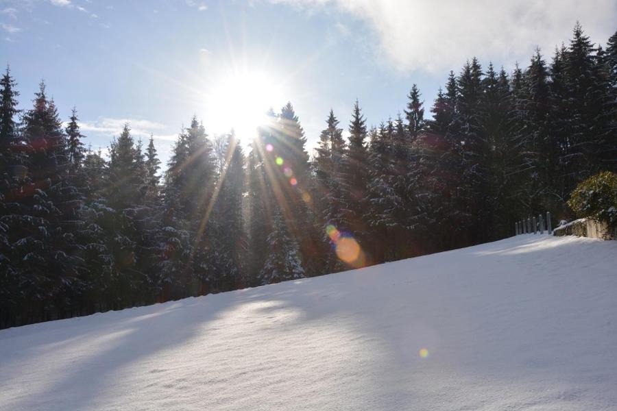 Photo of Others in Hauzenberg