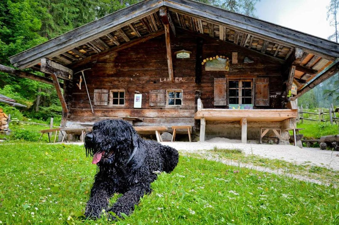Photo of Others in Unterschonau