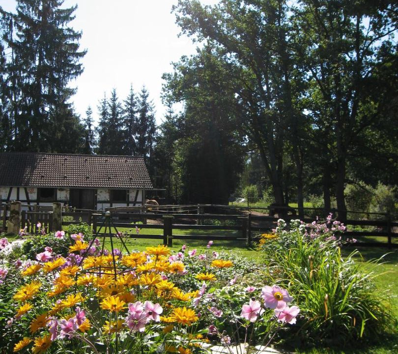 Photo of Others in Bernlohe