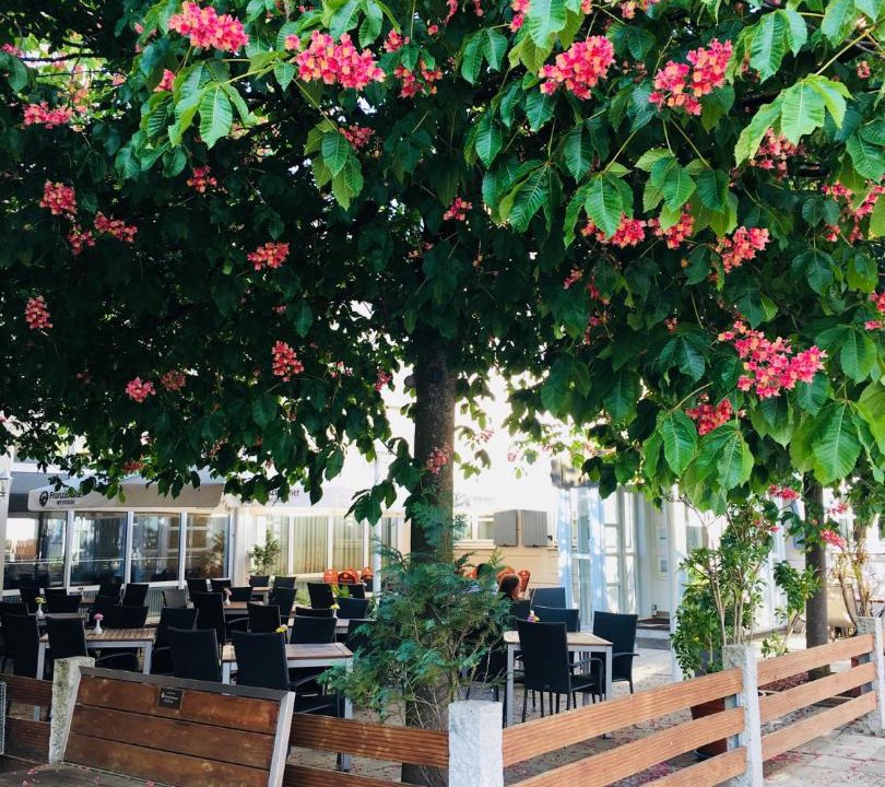 Photo of Patio Balcony in Aystetten