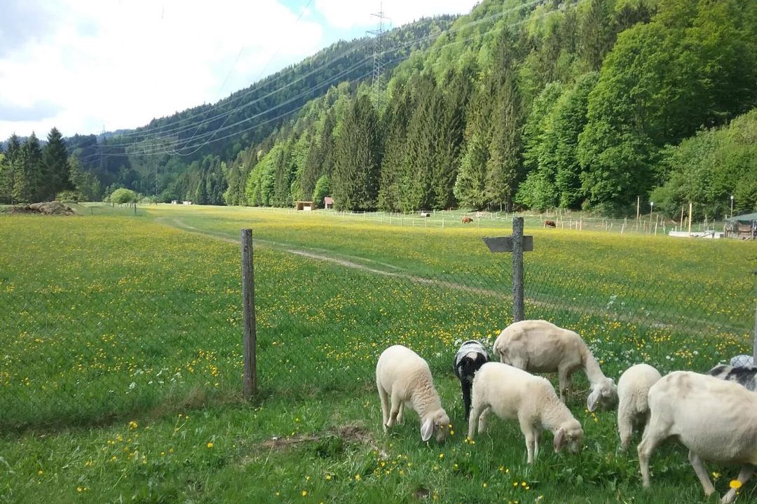 Photo of Others in Jachenau