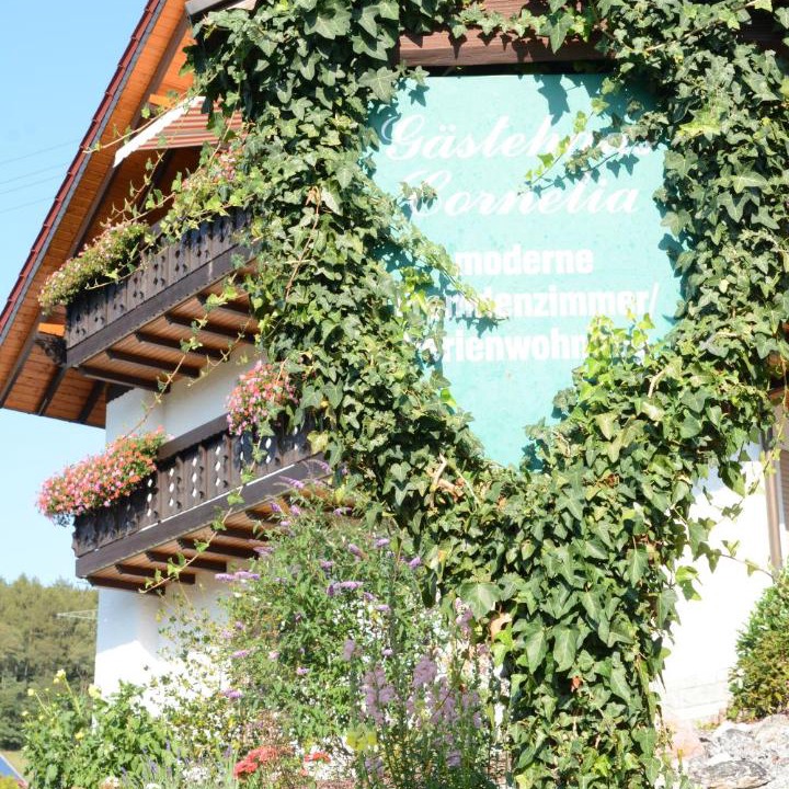 Photo of Others in Wildensee