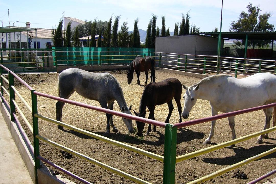Photo of Others in Majada del Moro