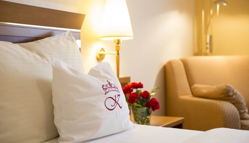 Superior Double Room Single Use