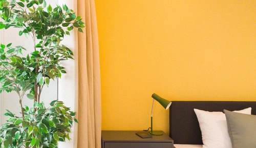 Comfort Studio Suite