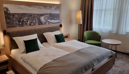 Comfort Room, 1 Queen Bed