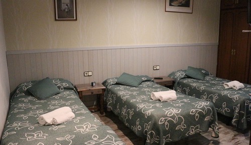 Basic Triple Room