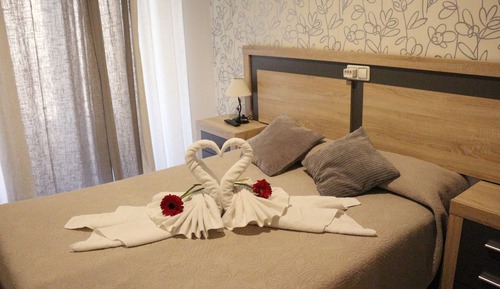 Economy Double Room