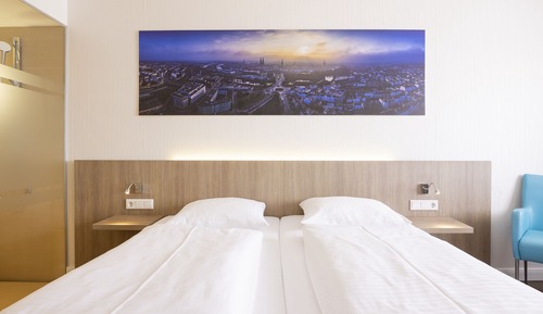 Double Room, 1 King Bed