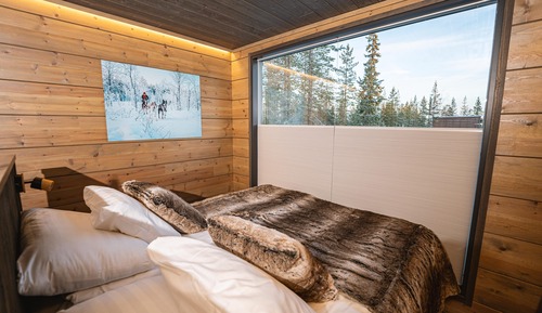 Superior Cabin