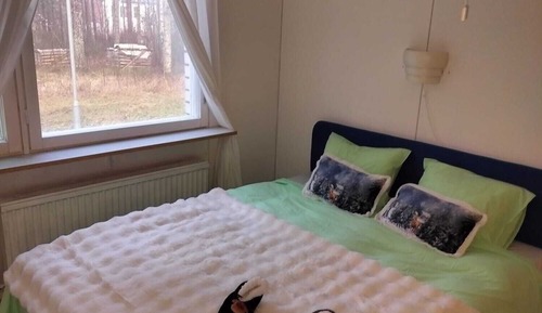Economy Shared Dormitory