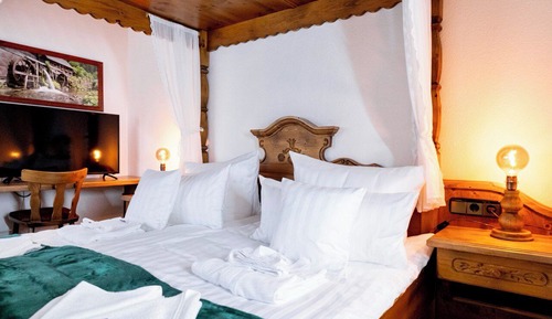 Basic Double Room