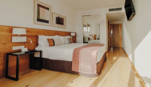 Standard Double Room (2 adult + 1 child)