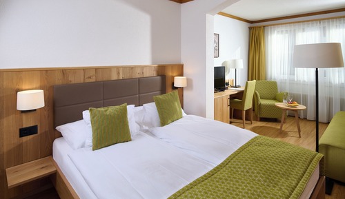 Double Room (Mountain View - South)