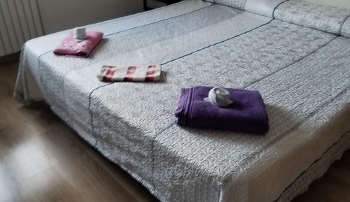 Basic Twin Room